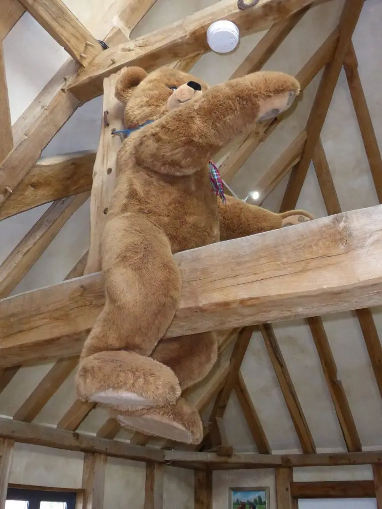 Architect in Holyport Berkshire